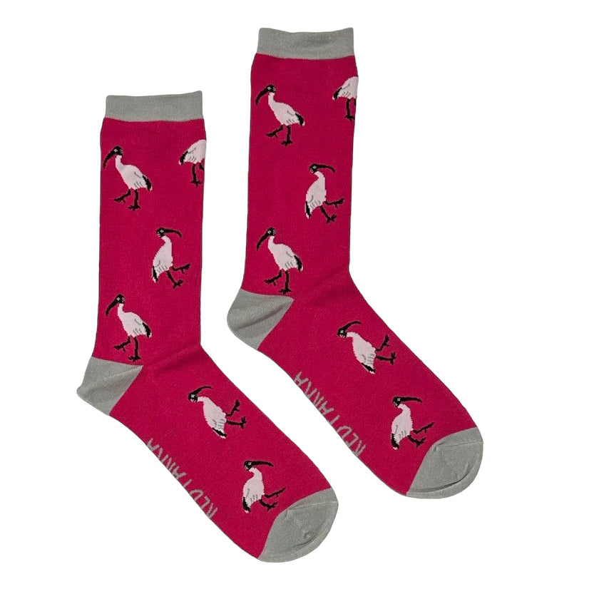 socks for crossfit workouts-Ibis Socks